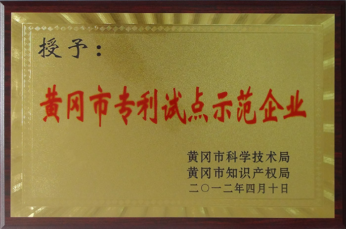 Patent pilot model enterprise